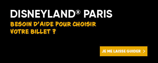 LP - Disneyland Paris